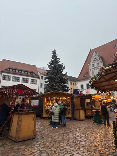 The image displays an outdoor Christmas market in a cobblestone square in Meissen, Germany, likely the Marktplatz. The sky is overcast, and the wet cobblestone ground reflects light. Surrounding the square are historic European buildings with red-tiled roofs, including a prominent multi-story structure on the right with a decorative white stepped gable. A tall, unadorned evergreen Christmas tree stands centrally. Multiple wooden market stalls, adorned with festive garlands, lights, and ornaments, are arranged across the square. Approximately ten individuals, dressed in winter coats, are present. A group of four people stands around a central stall, appearing to browse or interact with a vendor. Other individuals are seen near additional stalls, including one person at a stall on the left and a man standing on the right. Signs with German text, such as "Pommes" (fries) and "Stromsparen" (saving electricity), are visible on some stalls.