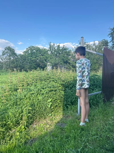 The image shows a young boy standing outdoors in a grassy area, facing away from the camera and looking to his right. He is wearing a long-sleeved shirt with a pattern of dinosaurs and white sneakers. The boy is standing on a metal structure, possibly part of a bench or a frame. Behind him, there is a wooden planked structure. The setting appears to be a backyard or a park, with lush green grass and trees in the background. The sky is bright blue with a few scattered white clouds, suggesting a sunny day. The time of day is likely afternoon, given the brightness of the sunlight. The location is Vyshevychi, Ukraine. No text is visible in the image.