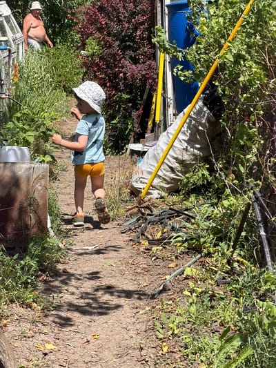 In a sunlit outdoor scene, a young boy wearing a patterned bucket hat, a blue t-shirt with a fish print, and orange shorts walks along a dirt path. He is observed from behind and to the side, facing away from the camera. In the background, an adult male with a light-colored bucket hat stands near a greenhouse. The environment is lush with vegetation, including bushes with red leaves and green plants, and a large blue barrel is visible. A large, white burlap sack leans against a structure, with a yellow pole emerging from behind it. The ground is covered in dirt, dry leaves, and some scattered debris, including what appears to be gardening tools and hoses. The overall impression is of a rustic, overgrown garden or yard. The specific location is identified as Ust'-Dzhigutinka, Russia.