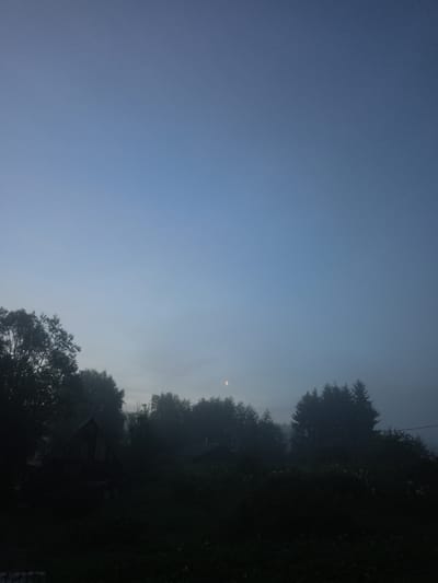 The image depicts a dimly lit outdoor scene during twilight. The sky is a gradient of blue, transitioning from a lighter hue at the horizon to a darker tone overhead. A sliver of a crescent moon is visible in the upper left portion of the frame. Silhouetted against the sky are the tops of various trees, including what appear to be pine trees. In the foreground, a dark, unlit area suggests dense foliage or vegetation. To the left of the frame, partially obscured by trees and shadows, is a rustic wooden structure with a pointed roof, likely a small house or shed. The overall atmosphere is serene and quiet, with a hint of mist or fog present in the air, particularly around the trees and buildings. No people or animals are discernible in the image. The scene appears to be in a rural or semi-rural setting, consistent with the provided location in Lumbushi, Russia, which is known for its natural landscapes.