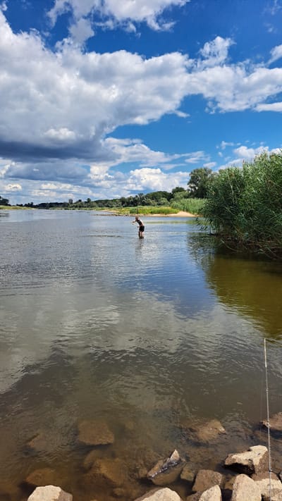 A person is fishing in the Warta River in Połęcko, Poland. The person, wearing dark shorts and a light-colored top, stands in the shallow water with a fishing rod. The river is wide and calm, reflecting the blue sky and white clouds above. The banks of the river are lined with tall reeds and green trees. In the foreground, large rocks are visible at the water's edge. A fishing rod rests on the rocks to the right of the image. The sky is partly cloudy, with dramatic white and gray formations against a bright blue backdrop.