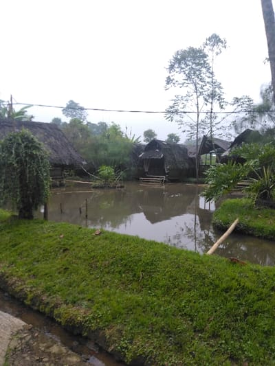 The image depicts a tranquil, rustic water landscape located in Cugenang, Indonesia. A central body of still, grey-brown water occupies the midground, reflecting the overcast sky and adjacent structures. Several small, dark-roofed structures, appearing to be huts or gazebos with visible wooden supports, are situated over or partially submerged in the water, primarily in the midground and extending towards the right. Their roofs appear to be made of dark thatch or similar rustic material. Lush green grass forms the foreground, with a narrow, shallow drainage channel running along its left edge. A single light-colored bamboo pole extends from the grassy bank into the water on the right side of the foreground. Dense tropical foliage, including various trees and shrubs, surrounds the water and structures, with the hazy, light grey sky visible in the background, suggesting an overcast day or atmospheric mist. No individuals, actions, or specific interactions are discernible within the scene.