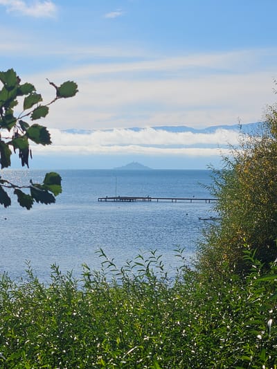 The image captures a serene view of Lake Villarrica in Chile. The scene is framed by foliage: willows with thin leaves, and a branch of other leaves, possibly hawthorn, in the foreground. A long, wooden pier extends into the water, its dark posts punctuating the lake's surface. Beyond the lake, a series of mountain peaks is visible, partly obscured by atmospheric haze. The sky is blue with wisps of clouds. The sunlight reflects off the water.