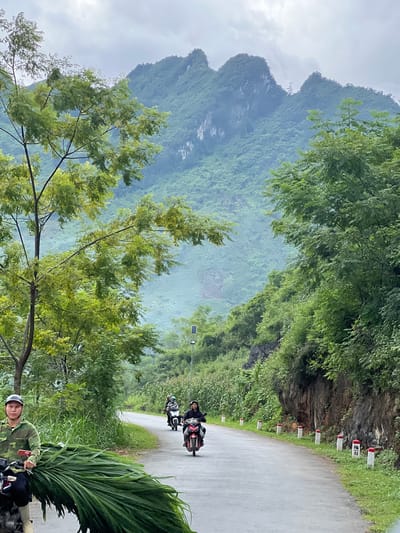 In Cán Tỷ Commune, Vietnam, a paved road winds through a lush, mountainous landscape under an overcast sky. On the left side of the road, a man wearing a camouflage uniform and a helmet is seated on a motorcycle, carrying a large bundle of green vegetation. Further down the road, two other individuals on motorcycles are visible, one wearing a dark jacket and the other in a lighter colored shirt. The road is bordered by dense green foliage, tall grass, and what appears to be a cornfield on the right. In the background, mist-shrouded mountains covered in vegetation rise dramatically, with some rocky outcrops visible. Several small, white and red markers line the right edge of the road. A solar-powered lamp post is also present near the roadside. The overall impression is a rural scene with active transportation on a scenic, natural route.
