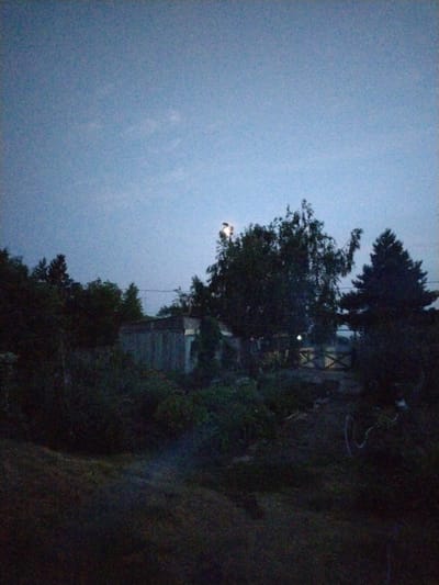 The image shows a dimly lit outdoor scene at dusk or dawn in Kulikovo, Russia. A pale sky with faint clouds dominates the upper half of the frame. In the middle ground, a long, low structure, possibly a shed or outbuilding, is visible. It appears to be made of weathered wood or corrugated metal and has a light-colored section on its right side. Behind the structure, several trees of varying sizes and shapes are silhouetted against the sky. A particularly large, bushy tree with branches reaching upwards is centrally located, and to its right, a darker, more conical evergreen tree stands. In front of the structure, a wooden gate with an 'X' pattern on its panels is partially obscured by foliage. The foreground is dark and appears to be uneven terrain with grass and some scattered debris. A faint, circular object, possibly the moon or a light source, is visible high in the sky, partially obscured by tree branches on the left side of the image. There are no people or animals visible in the scene. The overall atmosphere is quiet and still.