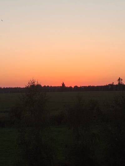 The image captures a rural landscape at sunset, with a gradient of orange and pale yellow in the sky. In the foreground, dark silhouettes of trees and foliage obscure a green field. A distant tree line with scattered structures and vegetation forms the horizon. The sky contains two small, dark silhouettes of birds in flight. The scene is devoid of any human presence or interaction. The location is Dzyarzhynsk, Belarus.