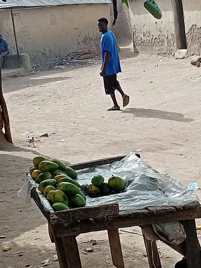 The image shows a street scene in Nata-Ala, Nigeria. A young man wearing a blue t-shirt and dark shorts stands in the foreground. A pile of green and yellow mangoes is displayed on a weathered wooden cart covered with a white plastic sheet. The background shows a simple building structure and bare ground.