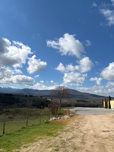 This image presents a rural, mountainous landscape under a bright blue sky filled with scattered white cumulus clouds. In the foreground, a dirt path occupies the right side, leading into a paved, dark grey surface further back. To the immediate left of the dirt path, a vibrant green grassy field is enclosed by a wire mesh fence supported by wooden posts. Several light-colored rocks are visible along the base of the fence line where it meets the dirt path. On the far right, a section of a light yellow building is visible, with at least three tall, slender cypress trees standing vertically adjacent to its facade.
In the midground, a prominent, bare deciduous tree with a visible trunk and branching structure stands centrally. To the left of this tree, the terrain descends into a valley featuring forested areas and multiple dark-colored, cross-like structures sparsely distributed within the landscape. The background is dominated by a range of mountains stretching across the horizon. The peaks on the far left exhibit distinct snow caps, while the central and right portions of the range are covered in dense, dark green vegetation. The scene is located in the vicinity of Real Sitio de San Ildefonso, Spain. No individuals, direct actions, or interactions are visible.