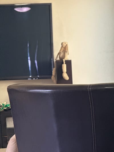 In a residential room in Broadbeach, Australia, a brown plush toy rabbit with long ears sits perched on a dark brown cube, its wooden legs dangling over the side. The rabbit is positioned to the right of a large, dark television screen displaying a faint, abstract light pattern. In the foreground, the back of a dark brown leather chair, with visible white stitching, occupies the lower portion of the frame, obscuring the lower half of the scene. The wall behind the rabbit and television is a neutral cream color.