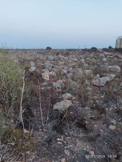 The image depicts a dry, rocky landscape with sparse vegetation under a pale, overcast sky. In the background, a concrete structure with barbed wire fencing is visible on the right side of the frame. The ground is covered with stones, dry grass, and dead plants. The overall scene suggests an arid or semi-arid environment. The timestamp "02/07/2026 20:24" is superimposed on the bottom right corner of the image, indicating the date and time of capture. The location is identified as Dingli, Malta, a region known for its rugged coastline and arid terrain.