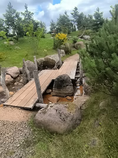 This image depicts a rustic wooden footbridge crossing a small, shallow stream in a natural park-like setting. The bridge is constructed from rough-hewn wooden planks, supported by weathered wooden posts that are partially submerged in the water and land. Large, grey rocks are scattered around the stream banks, some partially covered by moss and grass. The stream itself has a reddish-brown hue, suggesting mineral content.

The surrounding environment is lush and green, with a grassy hillside in the background dotted with various trees, including pine and deciduous varieties. A vibrant yellow flowering bush is visible on the hillside, adding a splash of color to the scene. The ground leading to the bridge is covered with small gravel and patches of grass. The sky is partly cloudy with white clouds against a blue background.

The image does not contain any people. The overall impression is one of a serene, natural landscape, likely a public park or garden designed to integrate with its surroundings. It is plausible that this scene is located in or around Mažučiai, Lithuania, given the mention of this location.