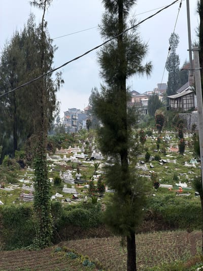 The image shows a cemetery located in Ngadas, Indonesia. The cemetery is situated on a hillside, with numerous gravestones and tombs scattered across the landscape. The gravestones are predominantly white and vary in size and design. Lush green vegetation, including trees and bushes, is interspersed throughout the cemetery. In the background, there are buildings, suggesting a proximity to a residential area. The sky is overcast, contributing to a somewhat muted color palette. In the foreground, there appears to be a cultivated field with rows of young plants.