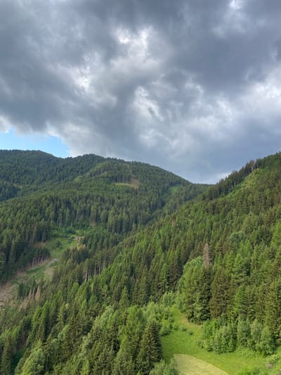 The image shows a steep, densely forested mountainside, likely in Freienfeld - Campo di Trens, Italy. The dominant subject is the vast expanse of coniferous trees covering the slope, with shades of deep green indicating a healthy forest. Patches of lighter green suggest grassy clearings or meadows interspersed within the forest. A dirt path is visible winding up the mountainside, hinting at a hiking trail or access road. The sky is filled with dramatic, heavy grey clouds, suggesting overcast weather, possibly before or after a storm. The orientation of the image is portrait, with the mountainside filling the right two-thirds of the frame and the cloudy sky occupying the left. There are no visible people or objects in the scene, nor any text. The overall impression is one of rugged natural beauty and a slightly moody atmosphere due to the cloudy sky. The time of day is indeterminate due to the cloud cover.