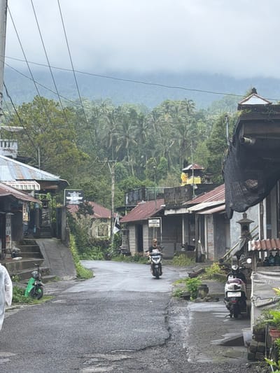 The scene depicts a street in Sekumpul, Indonesia, on an overcast day. A wet, asphalt road curves gently through a village. On the left side of the road, a person wearing a cap and dark shirt rides a white scooter away from the viewer. Another individual, partially visible on the far left, wears light-colored clothing.

The street is lined with buildings constructed from concrete, stone, and possibly brick, predominantly featuring reddish corrugated metal roofs. On the left, a light green scooter is parked on the shoulder. Further down the street on the left, a building displays a dark sign with white text. Steps and a concrete ramp lead up to a building entrance.

On the right side of the road, another white scooter with a blue seat is parked, facing away from the viewer, with license plate "DK 4219 JA" visible. Adjacent to it, a building features a sign reading "BIDAN KUTIAU SASAN UDANI". A traditional shrine-like structure, draped in yellow fabric, is visible on a rooftop in the midground, above other buildings. A dark, net-like material hangs from the side of the building on the extreme right. Overhead power lines span across the frame.

The background consists of densely vegetated, mountainous terrain, characterized by numerous palm trees, receding into a light grey, cloudy sky. The overall environment appears humid and tropical.