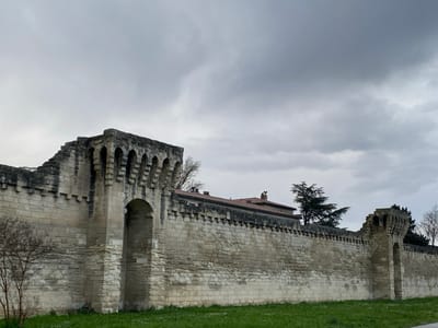 An exterior long shot captures a section of the historic city ramparts in Avignon, France, under an overcast sky. The primary subject is a weathered, light-colored stone defensive wall constructed from irregular, block-like masonry. The wall extends horizontally across the midground.
Two prominent, buttressed tower-like structures are visible within the wall. The left structure is relatively intact, featuring a series of six smaller, rounded arched recesses along its upper edge, below which a larger, dark arched opening serves as a passage or gate. The wall to the immediate left of this structure displays a partially ruined, crenellated top.
To the right, a second, partially ruined buttressed section is visible, also containing a dark, arched opening. The wall connecting these two structures maintains a crenellated top, though it exhibits significant erosion and damage.
In the foreground, a narrow strip of green grass with some bare earth runs along the base of the wall. A small, leafless deciduous tree or bush is present on the far left.
In the background, behind the wall, portions of buildings with reddish-brown tiled roofs and visible chimneys are discernable. A large, dark green coniferous tree stands prominently behind the right half of the wall, flanked by several bare deciduous trees.
The sky is uniformly overcast, dominated by varying shades of grey clouds. No individuals, animals, or active events are present in the scene.