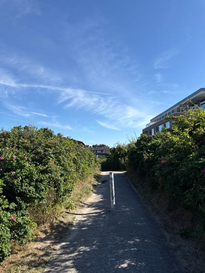 The image depicts an outdoor scene on a sunny day, likely in Langeoog, Germany, given the context. The perspective is from ground level, looking upwards and to the side. The sky is a vibrant blue, with wispy white clouds streaking across it, suggesting a bright and clear day.
To the left of the image, a modern building with multiple windows is visible, partially obscured by lush green foliage. This foliage extends downwards and towards the right, forming a dense hedge or bush that is dotted with small pink flowers. The greenery suggests a temperate climate and a well-maintained natural environment.
A paved pathway or road runs diagonally from the lower right to the upper right of the frame, bordered by the vegetation on one side and what appears to be dry grass and earth on the other. The path is textured, indicating it might be cobblestone or similar material. Sunlight casts dappled shadows from the foliage onto the path, suggesting the sun is at an angle, possibly mid-morning or late afternoon.
In the background, further down the path, other buildings with red-tiled roofs can be seen, interspersed with more greenery, hinting at a residential or a small town setting. A white post or bollard is visible near the edge of the path. No people are present in the image. The overall impression is one of a peaceful, sunny day in a seaside or coastal environment, with a blend of natural and built elements. The lack of visible text means no textual information can be extracted.