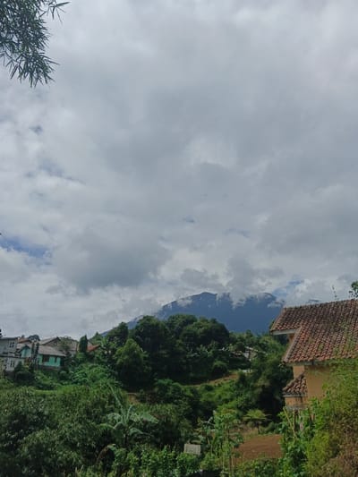 The image displays a mountainous landscape located in the city of Bình Hải, Vietnam, observed under a mostly overcast sky dominated by dense grey clouds, with occasional glimpses of lighter sky. In the upper left foreground, dark green foliage, possibly from bamboo, partially enters the frame. The midground consists of a steep, heavily vegetated hillside covered in lush green trees and various plants. Scattered across this hillside are multiple residential buildings, featuring light-colored walls (white, light blue/green) and dark or orange-tiled roofs. On the far right, a two-story building with an orange-tiled roof and yellow-ochre walls is partially visible, blending into the surrounding greenery. The background is occupied by a large, dark blue-green mountain range whose peaks are partially obscured by low-lying clouds or mist. No individuals or active interactions are discernible within the scene.