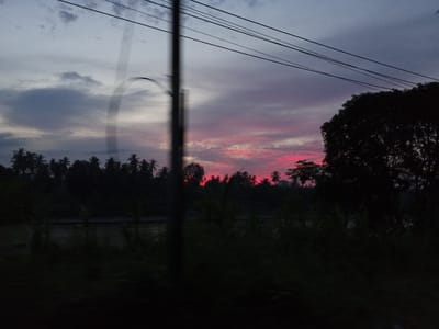 The image captures a twilight scene in Blang Mee, Indonesia, likely during sunrise or sunset, given the vibrant pink and purple hues painting the sky. Silhouetted against this colorful sky are numerous palm trees, characteristic of a tropical or subtropical landscape. The foreground is dominated by dark, out-of-focus foliage and a blurry vertical element, possibly a pole or a reflection on a window, suggesting the photo was taken from a moving vehicle or through a glass pane. Overhead, power lines crisscross the sky, indicating the presence of infrastructure. The overall mood is serene and atmospheric, with the fading light creating a sense of peace. The location context points to Blang Mee, Indonesia, a place known for its natural beauty and tropical climate. No text is visible in the image.