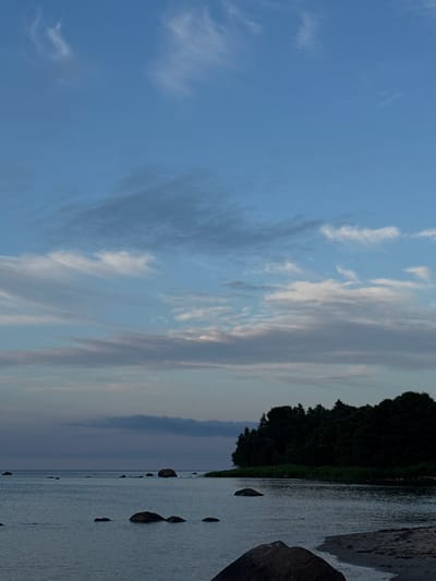 The image depicts a coastal scene at dusk in Rohuneeme, Estonia. The sky is a pale blue with wispy white clouds. The sea is calm and reflects the muted colors of the sky. Several large rocks are scattered in the water, with a sandy shore visible on the right side of the frame. A dense line of dark green trees forms a silhouette along the coast. The overall atmosphere is serene and tranquil.