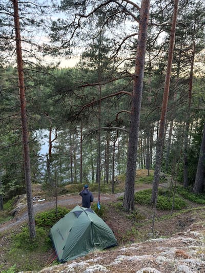 The image depicts a campsite in a forest, overlooking a body of water. A green tent is pitched on the ground in the foreground. A person wearing a dark jacket and a blue cap stands a short distance behind the tent, facing away from the camera and towards the water. The forest is composed of tall pine trees and dense undergrowth. The ground is covered in moss and pine needles. The sky is visible through the trees, with soft light suggesting either dawn or dusk. The location is identified as Kulikovo, Russia.