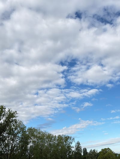 This is a full shot, vertical, eye-level photograph of a cloudy blue sky above a line of trees. The clouds are predominantly white and billowy, with some patches of darker gray. The blue sky is visible in between the clouds, and it appears to be a bright day. The trees are lush and green, with dense foliage. They are silhouetted against the sky, and their branches are visible. The image is taken from a slightly low angle, looking up at the sky. The location is the city of Druten, Netherlands.