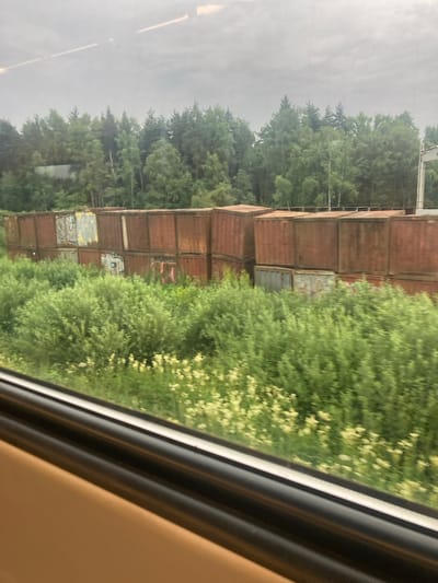 This image captures a view from a train window, looking out at a landscape with industrial elements and natural vegetation. In the foreground, a dark window frame is visible, with a beige interior panel below it. Beyond the frame, a dense expanse of green vegetation, including bushes and small white flowers, stretches across the middle ground. Behind the vegetation, a row of stacked, weathered shipping containers dominates the scene. These containers are mostly reddish-brown and show signs of age and some graffiti. In the background, a line of lush green trees forms a forest. The sky is overcast and grey, suggesting a cloudy day. The overall impression is of an industrial area adjacent to a natural landscape, viewed from a moving vehicle.
