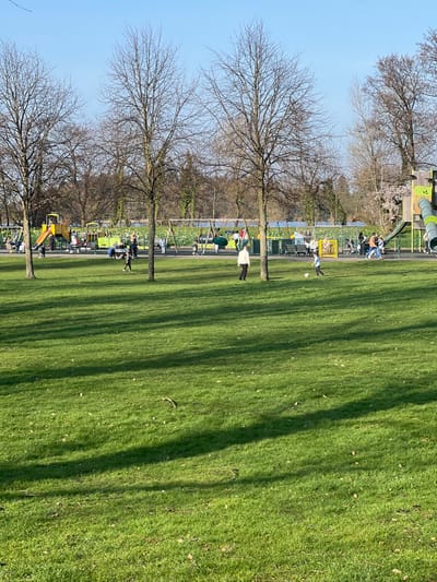 The image portrays Lurgan Park in Lurgan, United Kingdom, on a clear, sunny day, likely in late afternoon during late winter or early spring. The foreground consists of a large, well-maintained expanse of green grass with prominent, elongated shadows cast from right to left. Scattered small branches are visible on the grass. Three tall, bare deciduous trees are positioned in the mid-foreground, centrally framing the scene.
In the midground, a busy children's playground features various multi-colored structures, including yellow and green slides, climbing frames, and multiple swings, one of which is a basket swing. Numerous individuals, including adults and children, are present within and around the playground, engaging in recreational activities. One adult, wearing a light-colored top and dark trousers, stands in the mid-right, observing a child in a light blue top and dark trousers who is actively kicking a white soccer ball towards the right. Another child, dressed in a dark top, runs from left to right in the mid-left portion of the grass. Park benches and a yellow gate are discernible within the playground area.
The background reveals a large body of blue water, identified as Lurgan Lake, reflecting the clear sky. Beyond the lake, a dense treeline, predominantly bare, stretches across the horizon. Patches of yellow flowers, consistent with daffodils, are evident near the lake and playground. A few trees exhibiting pink blossoms are visible on the far right side of the background.