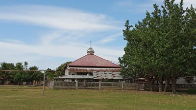 In the city of Tanjong Krueng, Indonesia, a mosque stands as the central subject of the image. The mosque, with a red tiled roof and a silver dome topped with a crescent moon and star, is partially obscured by the surrounding environment. A fence with decorative concrete posts encloses the mosque grounds. To the right, a large, lush green tree with numerous branches and leaves dominates the foreground, its canopy extending towards the sky. The background reveals a clear blue sky with wispy white clouds. The ground is covered in dry, yellowish-green grass, with scattered dry leaves and a few small white plastic debris. A tall, thin pole, possibly part of a sports net, stands in the grassy field to the left of the mosque. In the far left of the image, a line of palm trees and other tropical vegetation is visible, suggesting a warm, coastal climate. The overall scene depicts a serene, rural setting, likely in a village or small town within Tanjong Krueng.