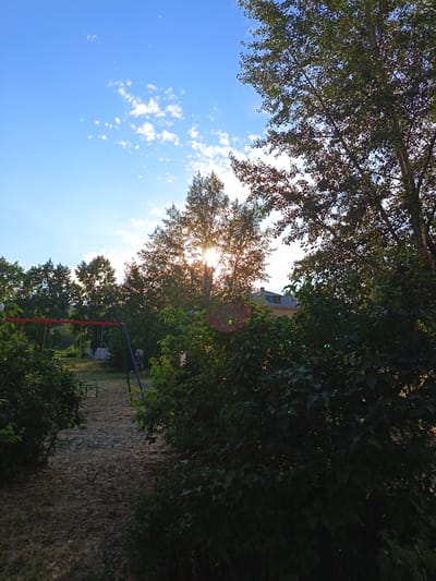 This media file depicts an outdoor scene, likely a backyard, in Svirsk, Russia. The setting features lush green foliage in the foreground and mid-ground, with a swing set visible on the left side, suggesting a residential area or park. In the background, a building with a dark roof and lighter walls can be seen peeking through the trees.
The time of day is late afternoon or early evening, indicated by the golden sunlight filtering through the leaves of a large tree in the center of the frame. The sun's rays create a lens flare effect, adding a warm and serene atmosphere to the image. The sky is a clear blue, dotted with a few wispy white clouds, suggesting fair weather.
The scene appears peaceful and tranquil, with no people visible. The focus is on the natural elements and the play of light and shadow. The dense foliage and the presence of a swing set evoke a sense of childhood nostalgia and a relaxed, summery mood. The overall impression is one of a quiet, idyllic moment captured in time.