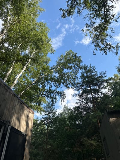 The image depicts an outdoor scene looking upwards towards a blue sky with scattered white clouds. Lush green foliage from various trees, including what appear to be birch and pine trees, fills much of the frame, obscuring the sky. In the foreground, the wooden siding of two structures is visible. The structure on the left is a light brown wood with a darker section on the left showing a partially open door. A string of small blue lights is attached to the roofline of this structure. The structure on the right is a darker, desaturated brown with a visible window. The overall impression is a wooded, possibly rural or semi-rural setting, with a focus on the natural environment and man-made structures integrated within it. The location is identified as Krasnoyarka, Russia.