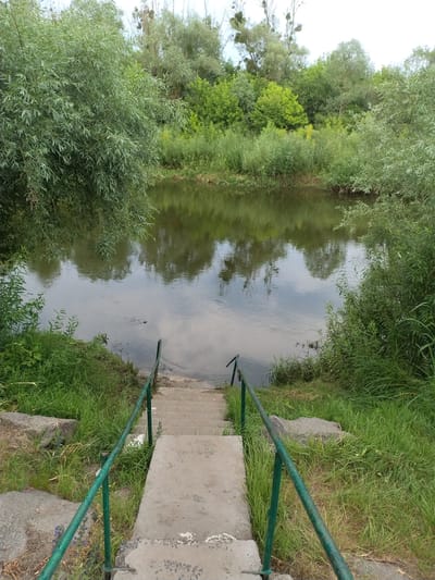 This media file depicts a descending concrete staircase with a green metal handrail, leading down to the edge of a calm river. Lush green foliage, including trees and tall grass, lines the banks of the river, creating a natural, verdant setting. The water reflects the surrounding greenery and the overcast sky, suggesting a cloudy day. The scene appears to be outdoors, likely in a park or natural area, given the abundance of plant life. The staircase and handrail indicate that this is a place accessible to people, possibly for recreation or to reach the water. No people are visible in the frame, and there is no visible text. The overall impression is one of a serene, natural environment with man-made access points. The location context of Ivankiv, Ukraine, places this scene within a specific geographical region known for its natural landscapes.