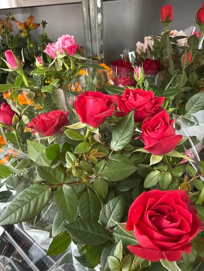 The image captures a vibrant display of fresh cut flowers, predominantly red roses, arranged in what appears to be a retail setting like a florist shop or supermarket in Waldshut, Germany. The perspective is slightly overhead, looking down into a collection of bouquets.
The foreground prominently features several large, lush red roses, some fully bloomed and showcasing their layered petals, while others are in various stages of budding. These are accompanied by abundant, healthy green leaves with serrated edges. Many of the flower bunches are wrapped individually in clear plastic cellophane, indicating they are prepared for sale.
In the middle and background, more red roses and rosebuds are visible, interspersed with green foliage. Towards the lower left of the image, there are also bouquets containing pink roses, some with subtle white variegation, and further down, hints of orange or yellow flowers, possibly marigolds, can be seen, also encased in plastic wrapping. A silver-colored metal shelving unit is partially visible along the left side, reinforcing the impression of a commercial flower display. No people are present, and no discernible text is visible on any packaging or surrounding elements. The scene is indoors, under ambient lighting, with no specific time of day indicated.