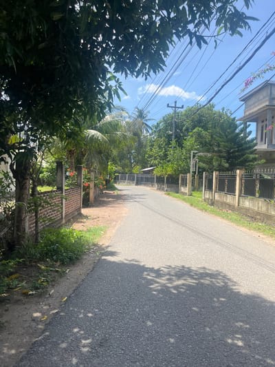 This image depicts a sunlit residential street in Rukoh, Indonesia, on a clear day. The foreground features a dark asphalt road with distinct, dappled tree shadows and faint tire marks extending into the mid-ground. To the left of the road, a dirt verge supports sparse green vegetation and scattered yellow leaves. A low brick wall, partially rendered with concrete posts, runs parallel to the road on the left, behind which tropical plants, including palm trees and red/orange flowering bushes, are visible. Overhead, dense green foliage partially obscures the sky on the left.
On the right side of the road, a dark metal fence with concrete pillars stretches into the distance. Behind this fence, a two-story house with a light-colored facade and a grey roof is partially visible. A tall, conical evergreen tree stands in front of the house, and pink bougainvillea flowers cascade from the house's upper structure and intertwine with the overhead utility lines. Multiple black power lines crisscross the bright blue sky, which contains a few small white clouds. A utility pole is visible further down the street on the right. No individuals are present in the scene.