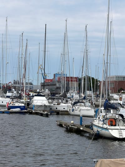 The image depicts a marina in Wismar, Germany, filled with numerous sailboats moored along wooden docks. The sailboats are of varying sizes and designs, with their tall masts creating a striking silhouette against the overcast sky. Some boats are positioned closer to the foreground, revealing details of their hulls, decks, and rigging. The water in the marina is dark and slightly rippled. In the background, industrial buildings and cranes are visible, suggesting a working port area adjacent to the recreational marina. There are no people visible in the image.
