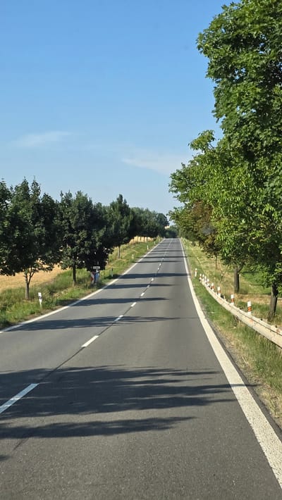The image depicts a straight, paved road in Pustiměř, Czechia, flanked by trees and a field. The road has white lane markings. On the left side of the road, there is a field of dry grass and a line of deciduous trees. On the right side, there is a metal guardrail and more deciduous trees. The sky is clear and blue. The scene is captured from a low angle, suggesting the photo was taken from a vehicle. Shadows of trees are cast across the road.