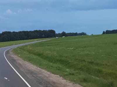 The image depicts a view from a road, looking out over a vast green field with a line of trees in the distance. The sky is overcast with a pale blue hue, suggesting it is either early morning or late evening. The road curves gently to the left in the foreground, bordered by a grassy verge. In the middle ground, there are a couple of small, box-like structures on the field, possibly sheds or caravans. The overall impression is of a rural landscape, characteristic of a countryside location outside of a major urban center. The scene does not provide specific indicators for the city of Shelepino, Russia.