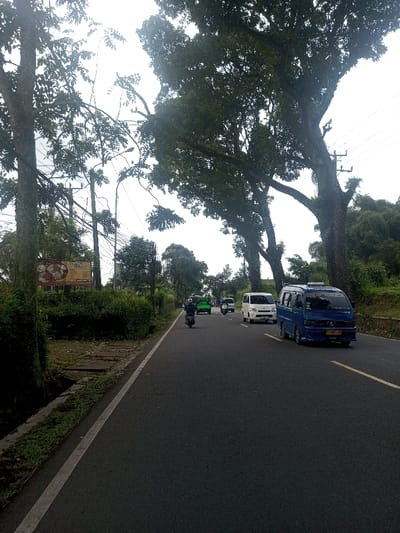 An exterior daytime image depicts a two-lane asphalt road traversing through a heavily vegetated area identified as the city of Niz Lakuk, India. The road features a solid white line along its left edge and a broken yellow line indicating two-way traffic. Overhead, a bright, overcast sky is visible through a canopy of dense, dark green foliage from numerous large trees lining both sides of the roadway.

Traffic is present, moving in both directions. In the foreground on the right lane, a blue, older-model van with roof rails travels forward. Behind it, a white van proceeds in the same direction. In the opposing lane (left), a person on a dark motorcycle wearing dark attire is visible, followed by a green utility vehicle and another motorcycle further back, with additional vehicles indistinctly visible in the distance.

On the left side of the road, a dirt shoulder with patchy grass leads to a concrete drainage ditch. Beyond the ditch, low green bushes precede a rectangular billboard mounted on poles. The billboard displays images of food dishes, likely advertising an eatery, with text partially visible but not clearly decipherable. Multiple utility poles with an array of overhead wires run parallel to the road on the left. The right side of the road features a raised embankment covered in dense greenery and trees. No pedestrians are distinctly visible.
