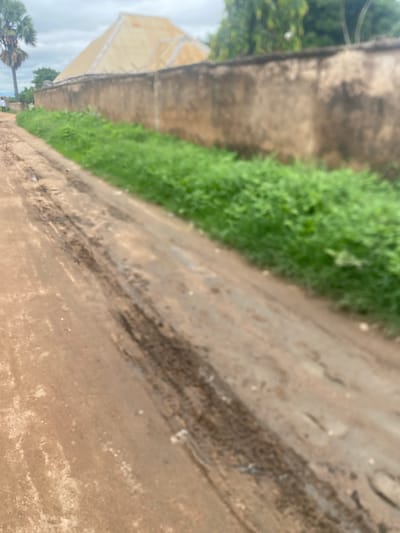 The image depicts a dusty, unpaved road in Gulum, Nigeria. The road shows tire tracks and is bordered by a strip of green grass. Beyond the grass is a tall, weathered wall, likely a boundary for a property. In the background, a palm tree is visible to the left, and a large, light-colored structure with a geometric roof shape is situated behind the wall. The sky is overcast. Two individuals are faintly visible walking on the road in the distance to the left.