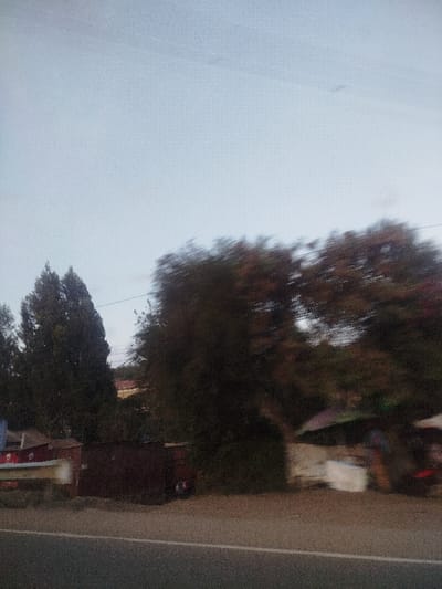 A blurred image captures roadside scenery. On the left, tall, dark green trees stand near structures; one is red and white. A brown metallic structure is visible. To the right, motion-blurred trees with hints of red/orange leaves fill the frame. White stalls with coverings stand beside the road. The sky is overcast, and a grey strip defines the road's edge. The overall effect suggests rapid movement.
