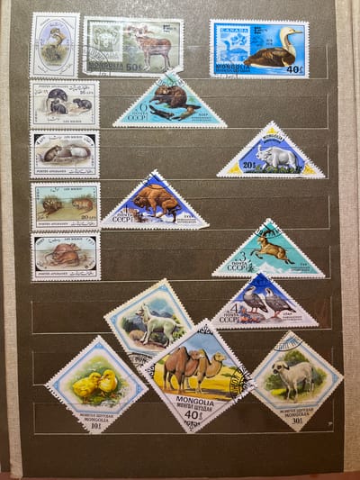 The image displays a collection of postage stamps arranged in a stamp album. The stamps feature various animals, including birds, goats, sheep, and rodents, as well as some natural landscapes. Some stamps are triangular, while others are rectangular or diamond-shaped. Several stamps are from Mongolia and depict its wildlife, with text in Mongolian and Russian, indicating values like "40¢" and "30¢". Other stamps appear to be from the USSR, with text like "ПОЧТА СССР" and illustrations of animals such as a bison and a Siberian ibex. There are also stamps from Canada, featuring a bird, and from Afghanistan, with images of mice and text in Arabic and French. The Afghanistan stamps have values like "2 AFS", "16 AFS", and "8 AFS". The overall setting is a collection of philatelic items, suggesting a hobby or archival organization of stamps. The stamps appear to be in good condition, with some showing signs of age. The arrangement suggests a careful curation, possibly for display or future use. The context of Kramatorsk, Ukraine, does not appear to be directly represented in the imagery of the stamps themselves, which depict global fauna and national symbols.