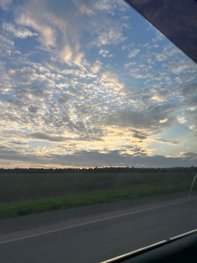 The image captures a view from inside a vehicle looking out at a rural landscape in the vicinity of Поварёнки, Russia. The foreground features a section of asphalt road, suggesting the perspective is from a moving car. Beyond the road, a dark green grassy strip transitions into a field of dark soil, likely agricultural land. A dense line of trees forms the horizon, bordering the field. The sky above is a striking element, filled with a dynamic arrangement of clouds. Scattered cumulus clouds are present, interspersed with larger, more wispy stratocumulus formations that are catching the light, creating a soft, diffused illumination. The upper right portion of the image is partially obscured by the dark interior of the vehicle. The lighting suggests it is either early morning or late evening, with the sun low on the horizon and its light filtering through the cloud cover. There are no people or animals visible in the image.