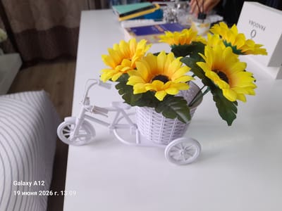 The image shows a white decorative bicycle with a basket filled with artificial sunflowers. The bicycle is positioned on a white table. In the background, there are some books and a white box with the word "PANDORA" written on it. The lower left corner of the image has a watermark that reads "Galaxy A12 19 июня 2026 г. 13:09". The scene appears to be indoors, possibly in a home or a shop. There is no visible indication of the city of Kara-Köl, Kyrgyzstan, in the image itself.