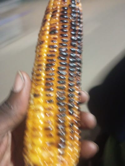 A close-up, blurry photograph shows a person's hand holding a piece of roasted corn on the cob. The corn is a bright yellow with charred kernels, indicating it has been grilled. The hand is dark-skinned and appears to be a thumb and forefinger supporting the cob. The background is out of focus, with muted tones of beige and dark brown, suggesting an indoor setting or a dimly lit outdoor area. The image is taken at a slight angle, emphasizing the texture and color of the corn. The location is Tundun Wada South, Nigeria.