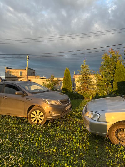 This image, situated in Bol'shaya Mos', Russia, depicts an outdoor scene with two automobiles parked on a grassy surface under a partly cloudy sky, illuminated by late afternoon or early morning golden hour sunlight. The sky overhead consists primarily of dense grey clouds, with brighter, lighter grey and blue patches visible towards the upper center and right.

In the foreground, a verdant lawn populated with small white clover flowers and dandelions stretches across the lower portion of the frame. On the left, a dirty, medium-grey Kia Rio four-door sedan is partially visible, facing towards the right. Its front right quarter, including the headlight, a section of the grille, and the fender, is strongly illuminated by warm, golden sunlight. The Russian license plate "M956KH 159" is attached to the front bumper. The visible front wheel features a multi-spoke hubcap. On the right, the front section of an older model silver sedan is visible, oriented towards the left, with its front right bumper and fender intensely lit by the same golden light. Its visible wheel is a black steel rim lacking a hubcap.

The midground features various evergreen trees, including a tall fir tree and several conical evergreens, positioned behind the vehicles, with their right sides brightly lit. A light-colored corrugated metal fence extends horizontally behind the vegetation. Multiple black power lines traverse horizontally across the upper midground. A wooden utility pole with crossarms and insulators stands on the left side, behind the grey sedan.

In the background on the left, a two-story building constructed from light-colored cinder blocks is visible, presenting at least two rectangular windows on its upper floor. Additional indistinct structures are observable further in the distance on the right. The scene is devoid of people and captures a static, residential or rural environment.