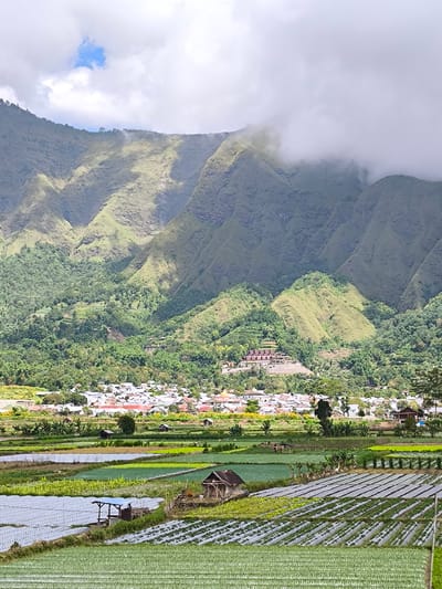 The image shows a wide-angle, daytime view of the Sembalun Bumbung area in Indonesia. In the foreground are agricultural fields with rows of crops, some covered in plastic sheeting. A small wooden shack and a structure with a blue roof are visible among the fields. A village is situated in the midground, with white houses and red roofs. Behind the village, a steep, green mountain range rises, with the peaks partially obscured by clouds. The sky is overcast with some patches of blue.