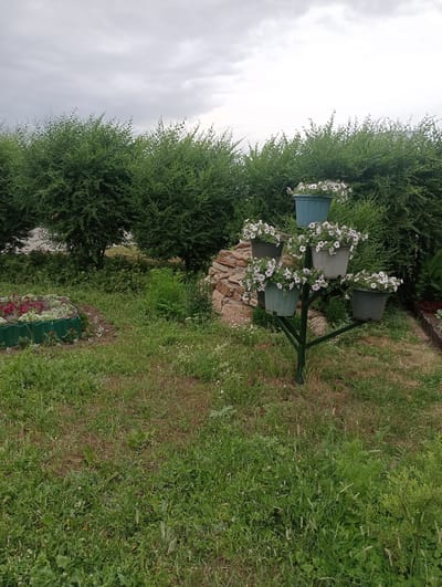 This media file depicts an outdoor scene in a garden setting, likely in Atbasar, Kazakhstan, under an overcast sky. The focal point is a tiered plant stand adorned with multiple pots of white and pink petunias, showcasing a vibrant floral display. The plant stand itself is a dark green, metal structure with a central pole and branches supporting five pots at various levels.
In the background, dense, manicured green hedges form a backdrop, suggesting a well-maintained garden or park area. To the left of the plant stand, a raised garden bed with green edging contains a mix of red and white flowers, adding another splash of color to the landscape. A pile of rough, light-brown stones is visible behind the plant stand, adding a natural, rustic element to the scene.
The foreground and middle ground are covered in lush green grass, with some patches of drier, brown grass, indicating a natural, untamed area. The overall impression is one of a serene and flourishing garden, likely captured on a cloudy day, as suggested by the diffused light and gray sky. There is no visible text in the image, nor are there any people or specific activities taking place. The scene evokes a sense of calm and natural beauty.