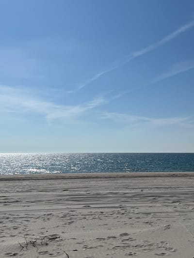This is a vertical, eye-level shot of a serene beach on a clear day. The sky is a vibrant, cloud-streaked blue, with the sun creating a dazzling sparkle across the deep blue ocean. The ocean meets the horizon in a straight, sharp line. The foreground is dominated by a wide expanse of light-colored sand, marked with the imprints of tire tracks and footprints. A small, dry piece of driftwood lies on the sand in the lower left corner. The image does not depict any people or buildings, suggesting a remote or quiet location. The style of the sand and the general atmosphere are consistent with a coastal beach environment. There is no specific visual information to place this scene in Divnoe, Russia.