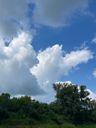 The image shows a landscape scene with a vibrant blue sky filled with fluffy white and gray clouds. The lower portion of the image is dominated by a lush, dense green forest. The trees are a mix of various shades of green, with some appearing fuller and taller than others. The lighting suggests it is daytime, likely mid-morning or afternoon, with the sun casting shadows and highlighting the texture of the clouds and foliage. A small black bird is visible in flight in the upper-left portion of the sky. This image appears to be taken from a low vantage point, possibly from ground level or a slight elevation.