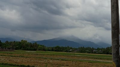 The image depicts a rural landscape in Baleulim, Indonesia, under a cloudy sky. In the foreground, there are rice fields, some harvested and dry, others green. A concrete utility pole stands on the right side of the frame, partially obscuring the view. Behind the fields, a dense line of trees, including palm trees, forms a transition to the background. Further back, low-lying houses with dark roofs are visible amidst the foliage. The distant background is dominated by a series of blue-tinged mountains, their peaks shrouded in mist and clouds. A single communication tower can be seen rising above the treeline in the mid-ground. The overall impression is one of a serene, agricultural setting before a looming mountain range.