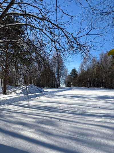 The image displays a snow-covered winter landscape located in Kol'tsovo, Russia, under a clear, vibrant blue sky. The ground is entirely blanketed in white snow, featuring subtle undulations. Long, distinct shadows, cast by trees and branches, stretch across the snow-covered foreground, oriented from the left foreground towards the right midground, indicating a low sun angle. Bare, leafless tree branches, some with small patches of snow adhering, frame the upper left and top sections of the composition. On the left, a discernible snow-covered path or track extends into the distance, appearing as a cleared channel bordered by slightly elevated snow banks. A dense line of trees, predominantly bare deciduous species with some interspersed coniferous evergreens, forms a backdrop stretching from the midground to the background along the path. A small, bright yellow, unidentifiable object is partially visible in the extreme upper right corner. No people are present, and no active interactions or specific actions are depicted within the scene.